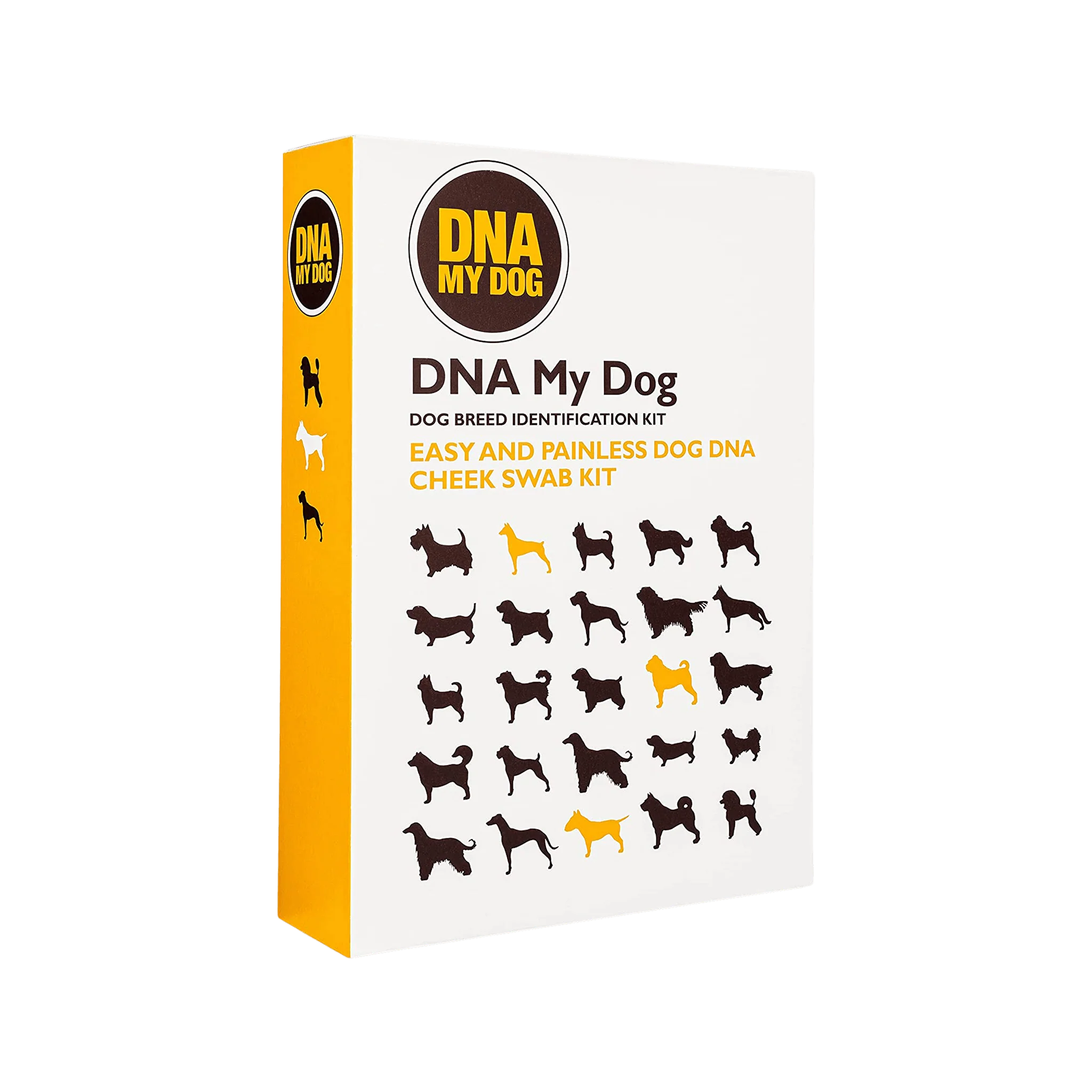 DNA My Dog