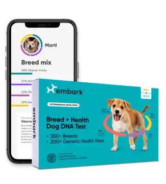 Embark Vet